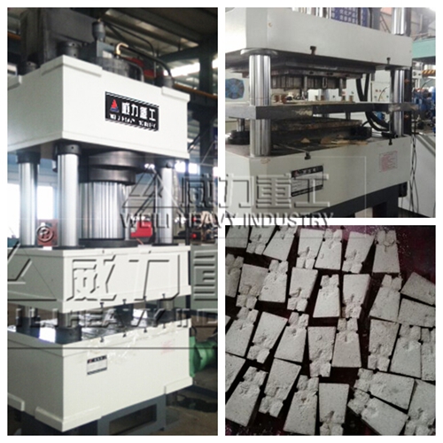 魚餌壓塊成型案例